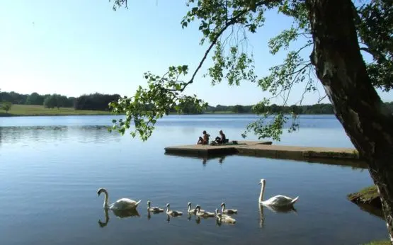 Tatton Park main photo