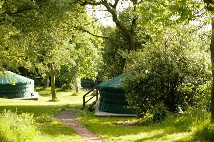 West Wood Yurts photo 1