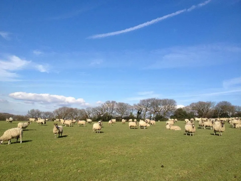 Border View Farm main photo