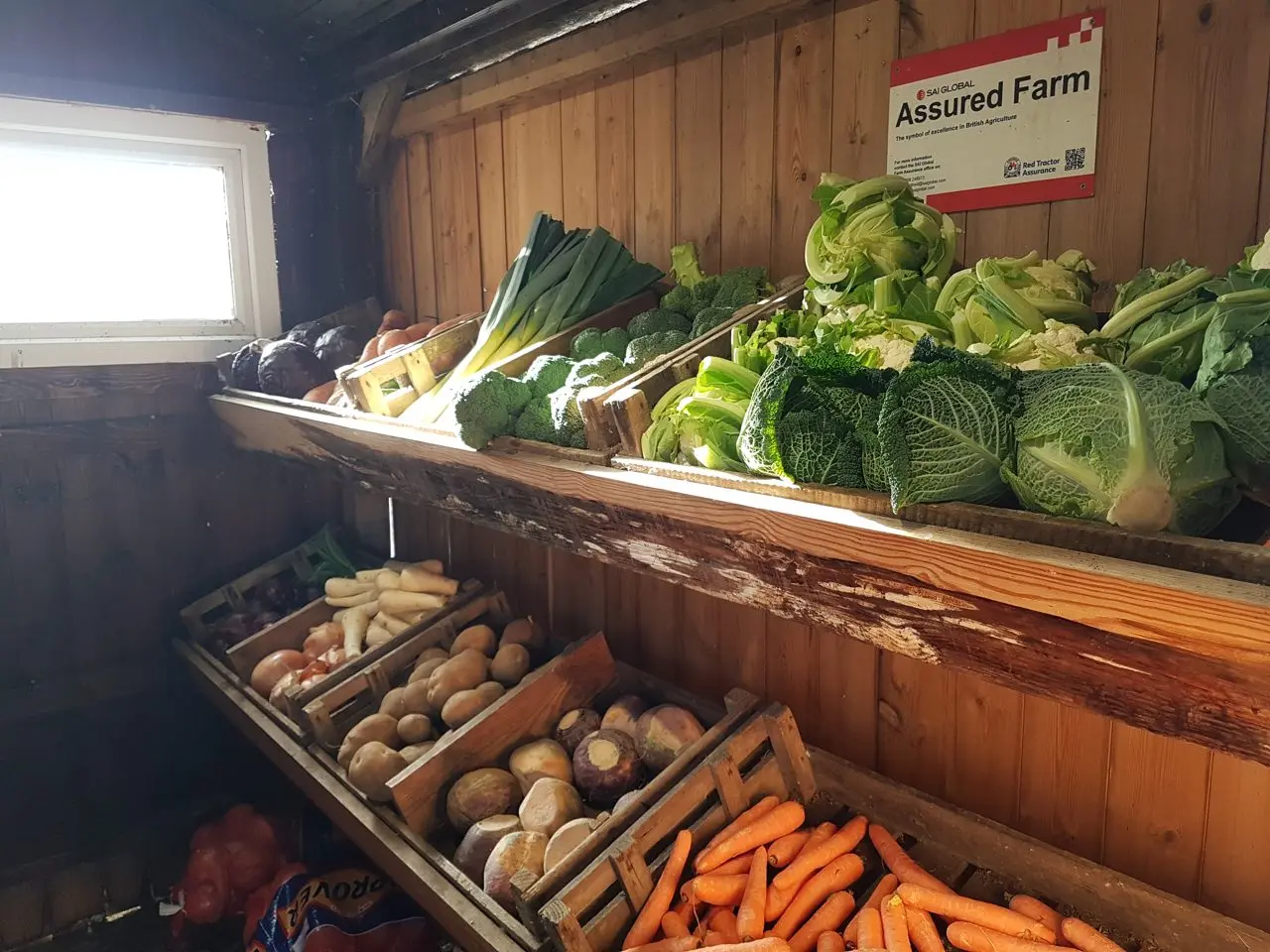Border View Farm photo 3