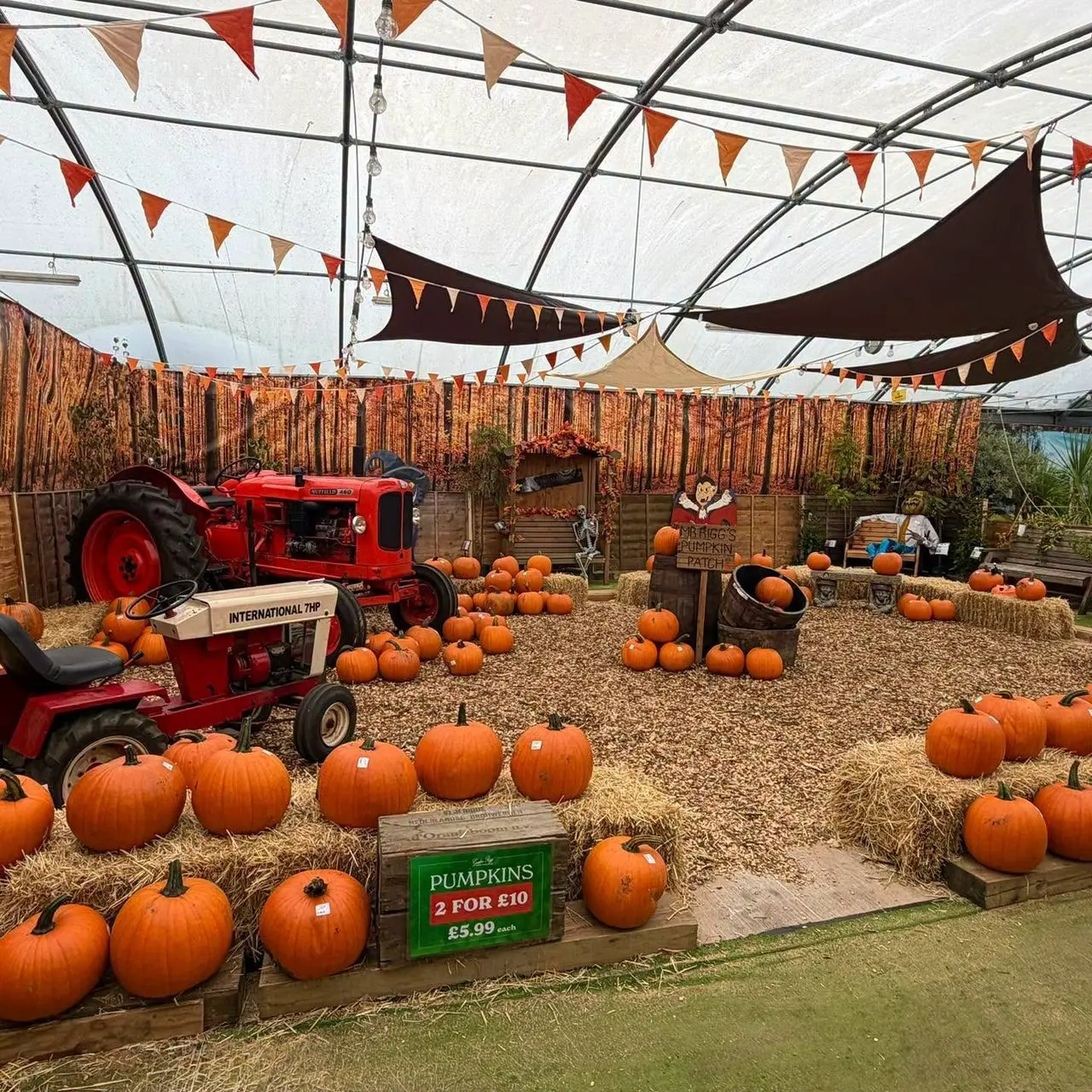 Gordon Rigg Garden Centre photo 1
