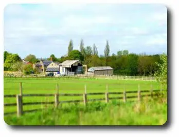Greenslate Community Farm photo 2