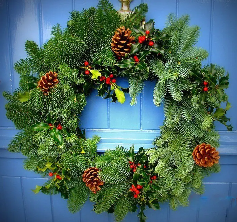 Christmas Trees Yorkshire photo 1