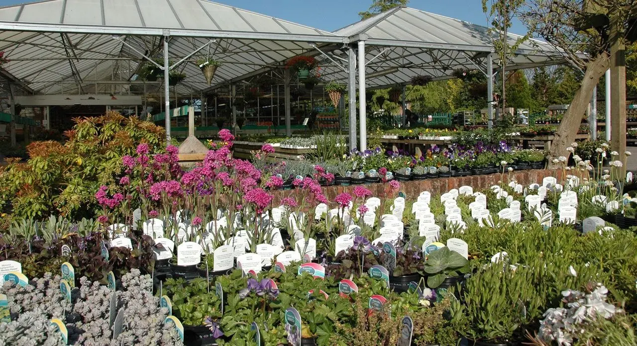 Bellis Brothers Farm Shop and Garden Centre