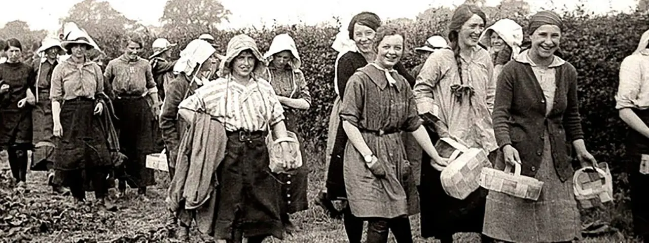 Bellis Brothers Farm Shop and Garden Centre photo 2