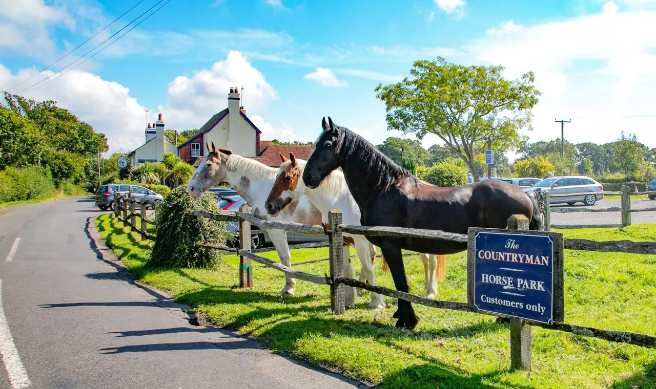 The Countryman Inn photo 3