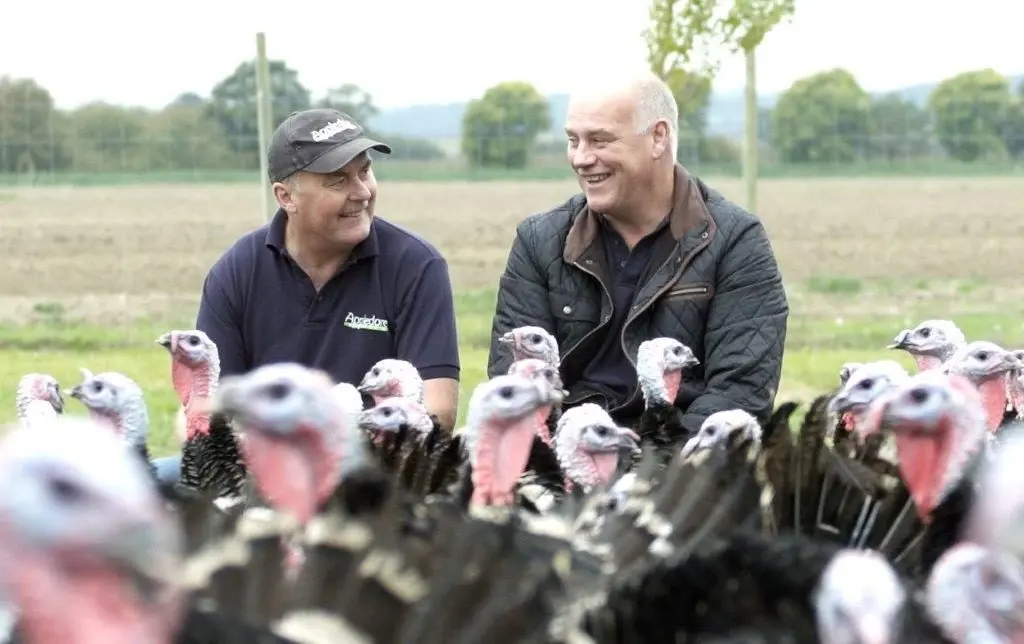 Appledore Turkeys photo 2