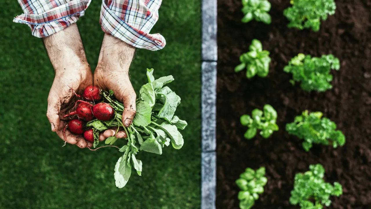 Roebridge Foods