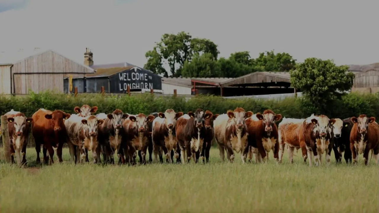 Tori & Ben's Farm Shop photo 3