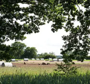 Redhill Farm Free Range Pork photo 1