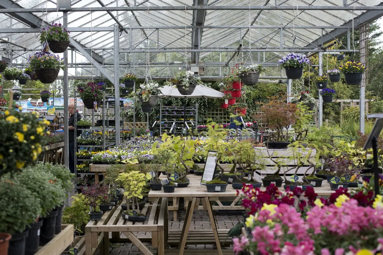 The Apple Tree Farm Shop (Brimsmore Gardens) photo 1