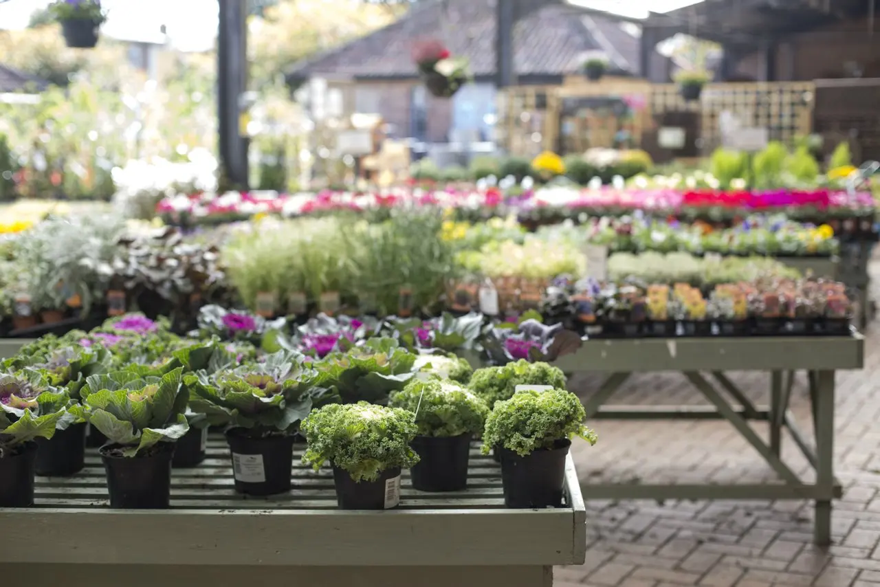 The Apple Tree Farm Shop (Brimsmore Gardens) photo 2