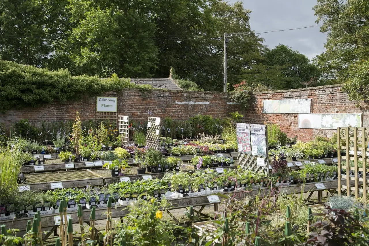 The Apple Tree Farm Shop (Brimsmore Gardens) photo 3
