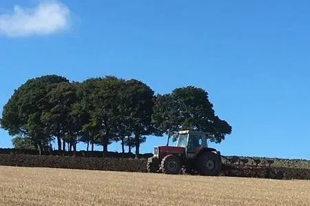 Firs Farm main photo