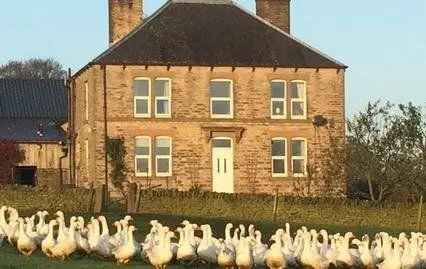 Firs Farm