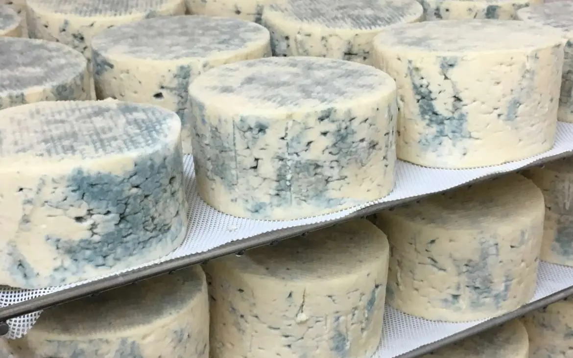 Suffolk Farmhouse Cheeses photo 3