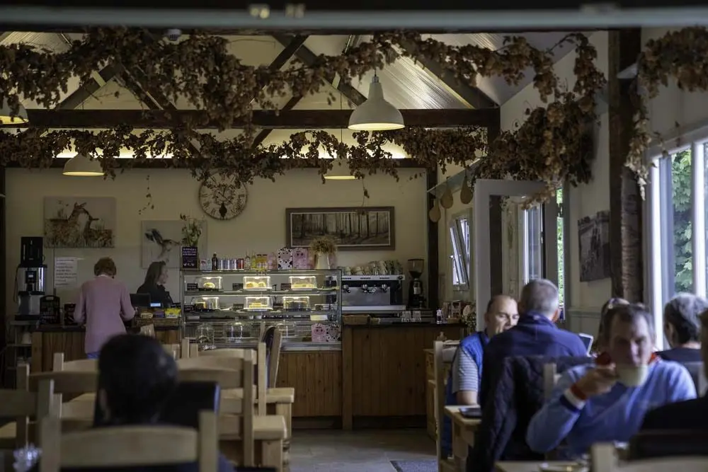 Fernygrove Farm Shop & Coffee Shop photo 2