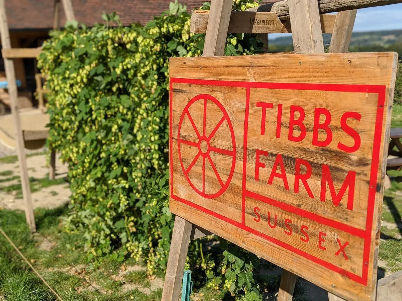 Tibbs Farm main photo