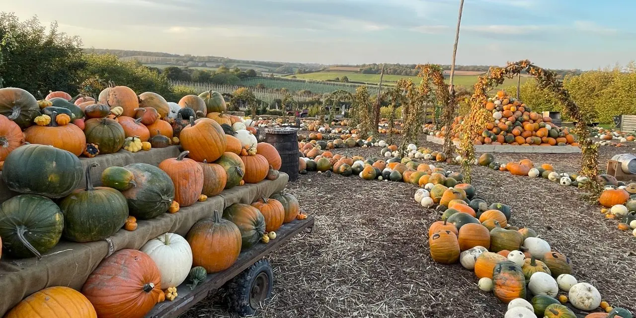 Tibbs Farm photo 2