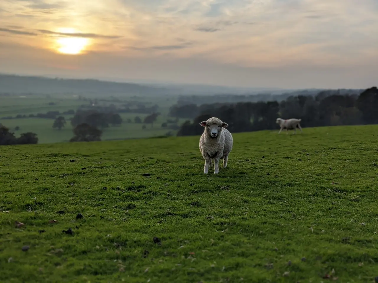 Tibbs Farm photo 4