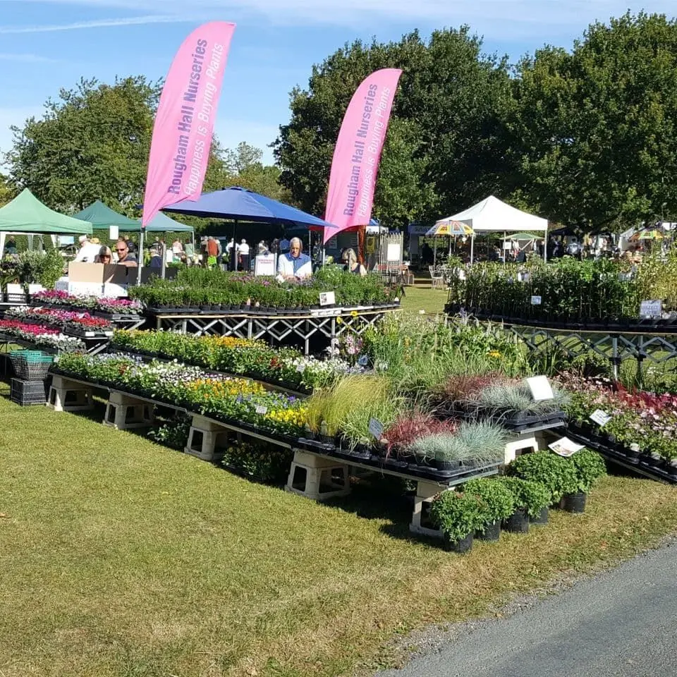 Rougham Hall Nurseries (RHN Plant Centre)