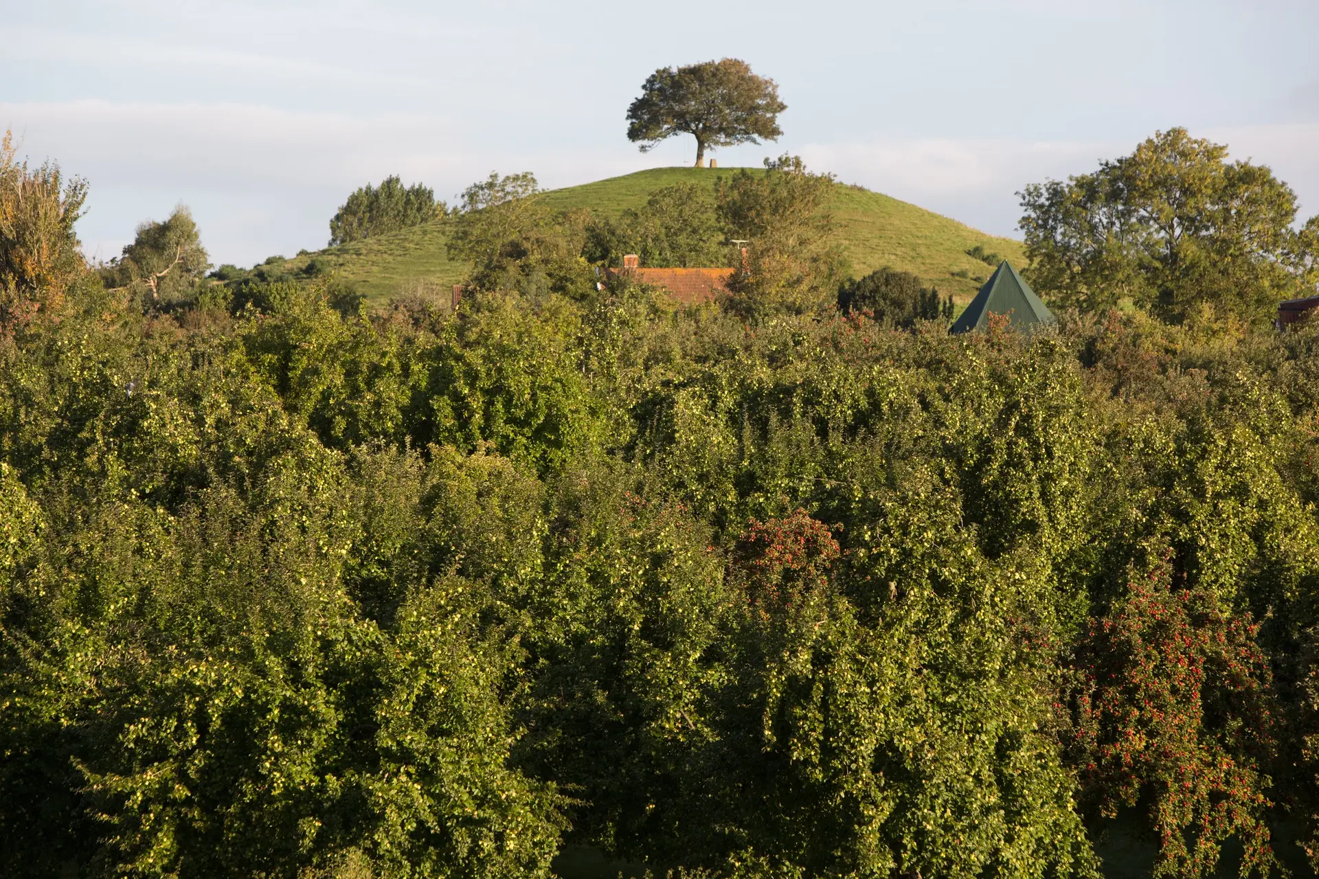 The Somerset Cider Brandy Company (Burrow Hill Cider) photo 4