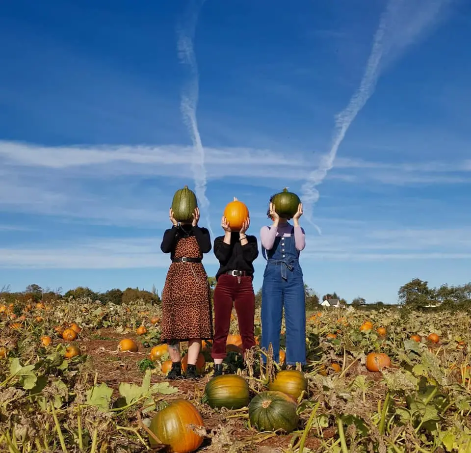 Thurloxton Farm photo 1