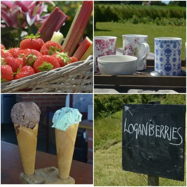 Thurloxton Farm photo 3