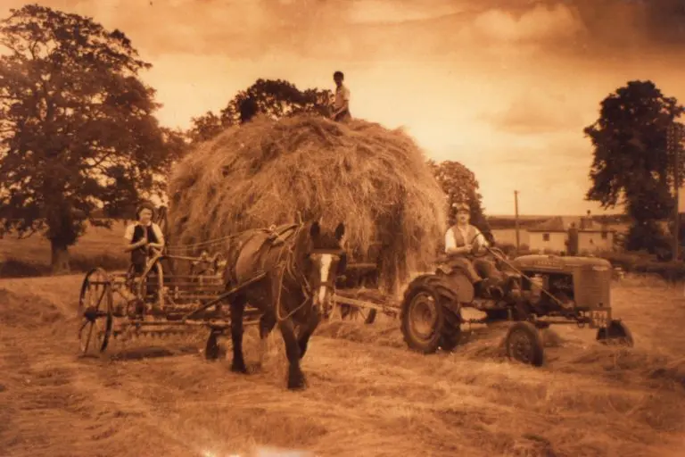 Thurloxton Farm photo 4