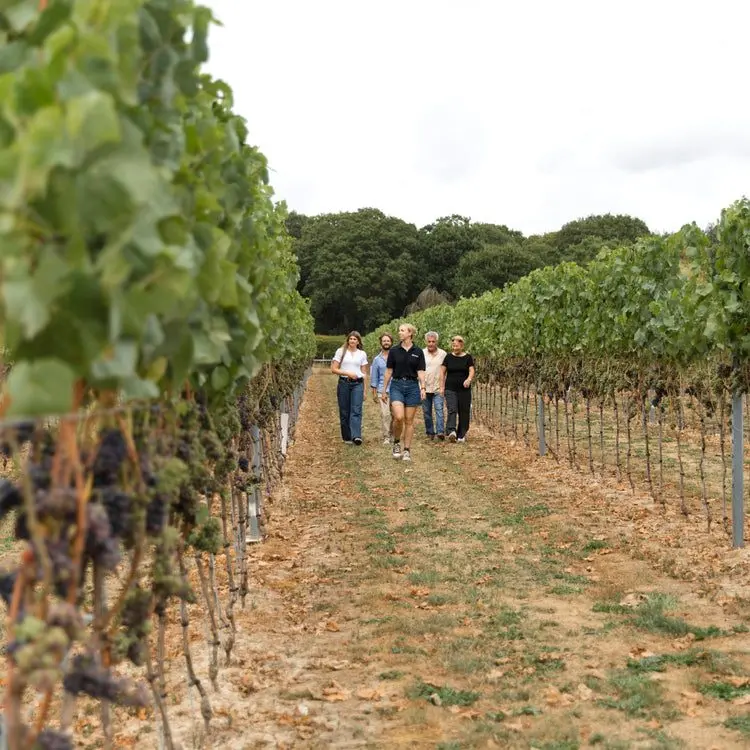 Biddenden Vineyards photo 3