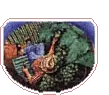 Boyces at Manstree (Boyces Nursery, Fruit Farm & Manstree Vineyard) logo