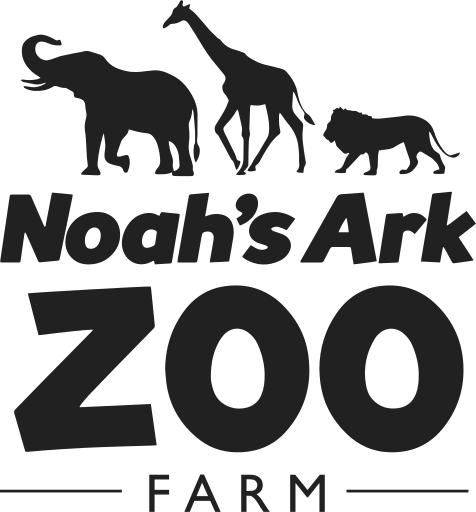 Noah's Ark Farm Shop logo