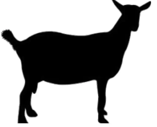 Toulston Hall Farm logo