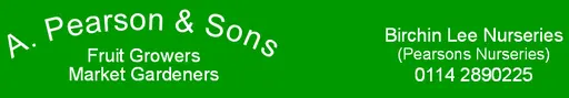 A. Pearson & Sons logo