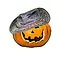 Pumpkin Jims logo