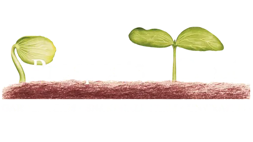 Prospects Trust Unwrapped logo