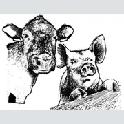 Cows and Sows logo
