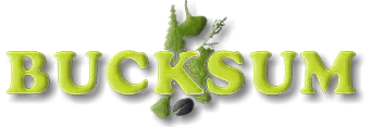 Bucksum logo