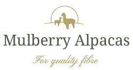 Mulberry Alpacas logo