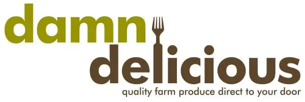 Damn Delicious logo