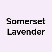 Somerset Lavender logo