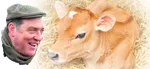Wayside Farm logo