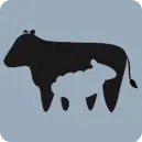 Broom House Farm logo