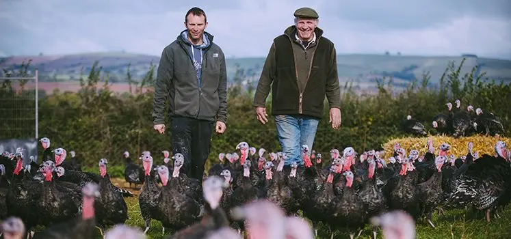 Exeter Turkey Farm (Glebelands Farm)