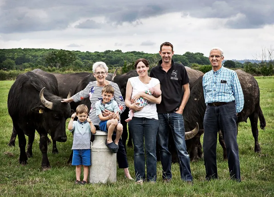 West Country Water Buffalo (Buffalicious)