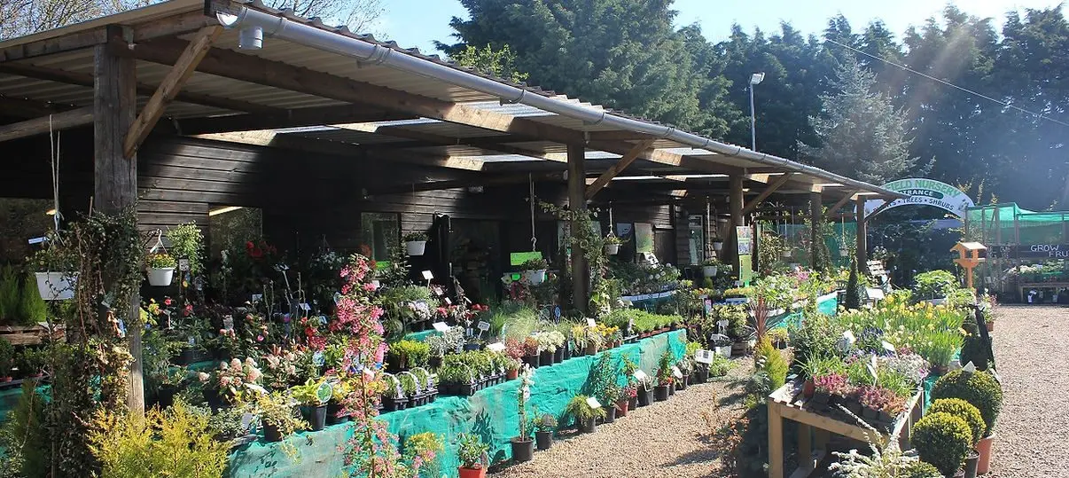 Hillfield Nursery & Farm Shop