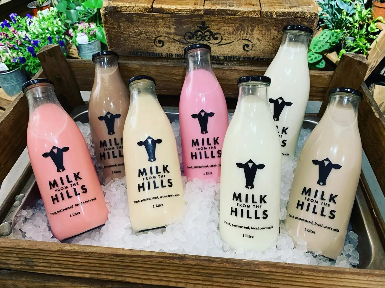 Milk From The Hills