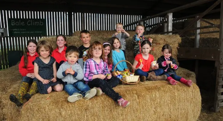Farmer Gow's