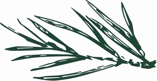 Fir Farm logo