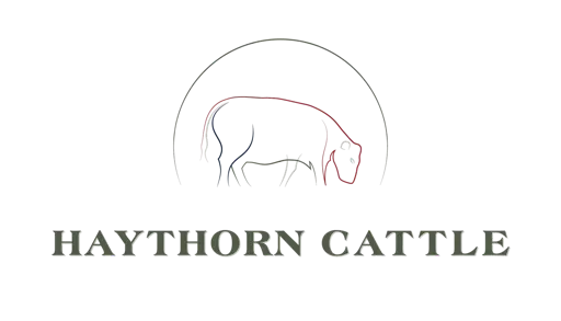 Haythorn Cattle logo